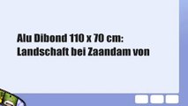 Alu Dibond 110 x 70 cm: Landschaft bei Zaandam von