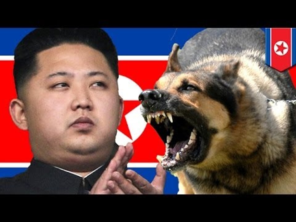 北朝鮮の処刑　中国のデマ？
