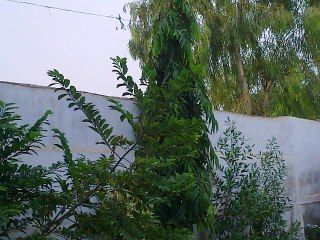 Hamd o Naat by Hafiz Sajid