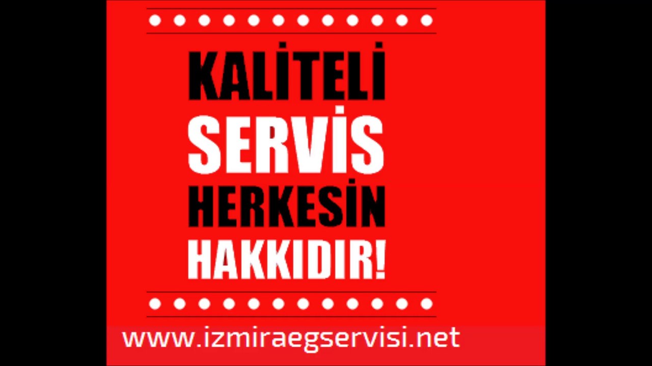 izmir aeg servisi