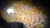 Toadfish Eggs Hatching, Baby Fish