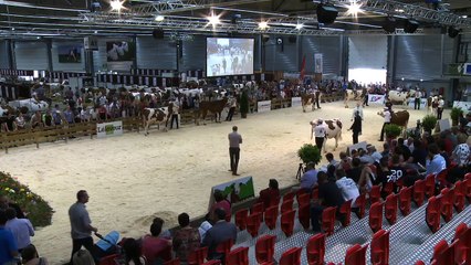 Streaming live : Montbéliard Prestige 13-14 mai 2015 13h (REPLAY)