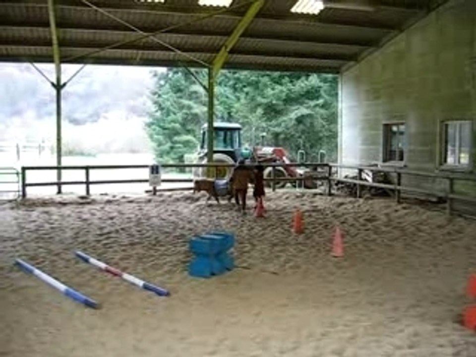 parcours poney