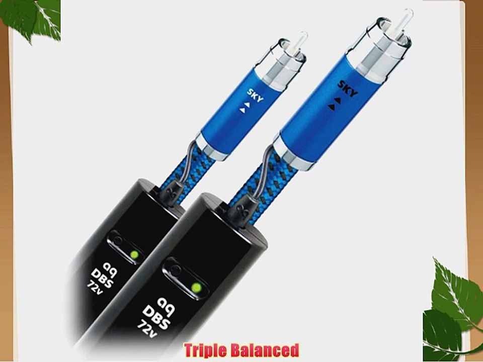 AudioQuest Sky audio cable - RCA plugs 1m 3.28 feet stereo pair