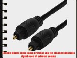 Cmple - TOSLink Optical Digital Audio Cable SPDIF Dolby Digital DTS - 100 ft