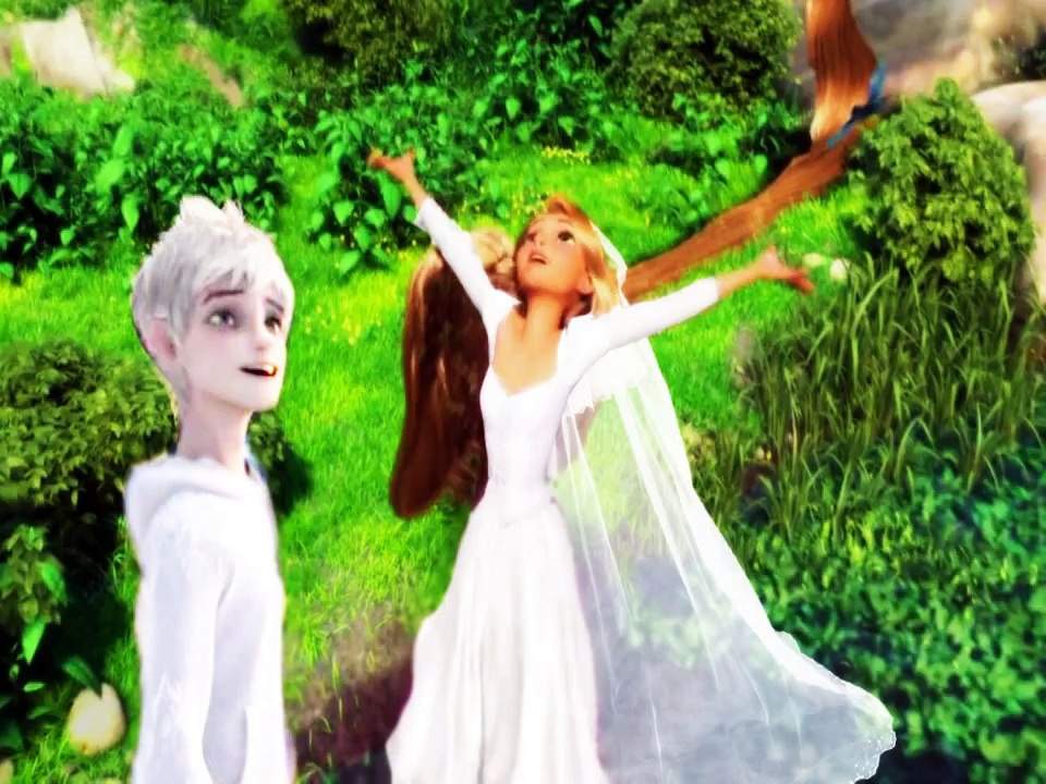 Jack Frost/ Rapunzel Wedding Album