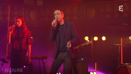 Alcaline, le Mag : Alain Chamfort - La Fièvre dans le Sang en live