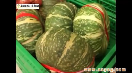 Mega II lavasciuga, srubbers RCM S p A