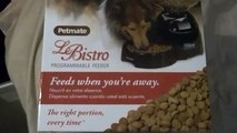 AUTOMATIC CAT FEEDER - PETMATE
