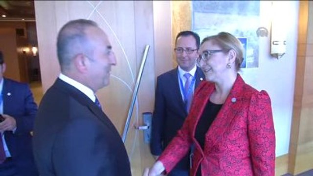 Çavuşoğlu, Gürcistan, İtalya ve Bosna-Hersek Dışişleri Bakanları ile Görüştü