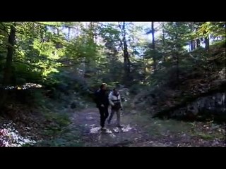 NAZI UFO TECHNOLOGY!  (*TESLA*) * * *