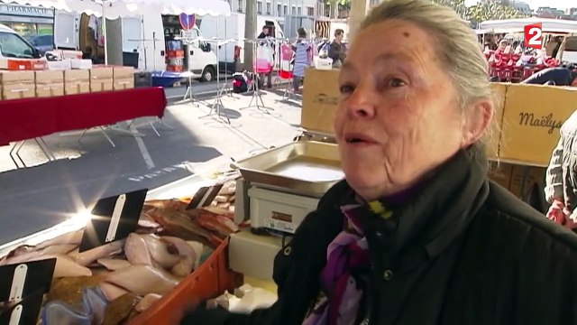 Trouville-sur-Mer part en guerre contre les goélands