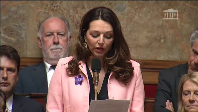 Valérie Boyer - Immigration clandestine