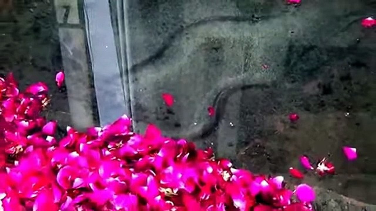 New Merical 2015-Allah Ki Qudrat-Allah Ki Shaan-Latest Merical Of Allah 2015 - YouTube