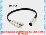 CablesOnline 1ft 5-Pin Din Male to 2-RCA Female Audio Cable for Bang