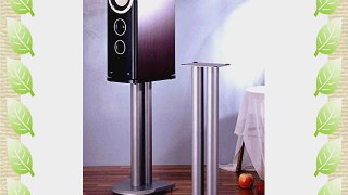 UF Series 24 Fixed Height Speaker Stand (Set of 2) Finish: Silver