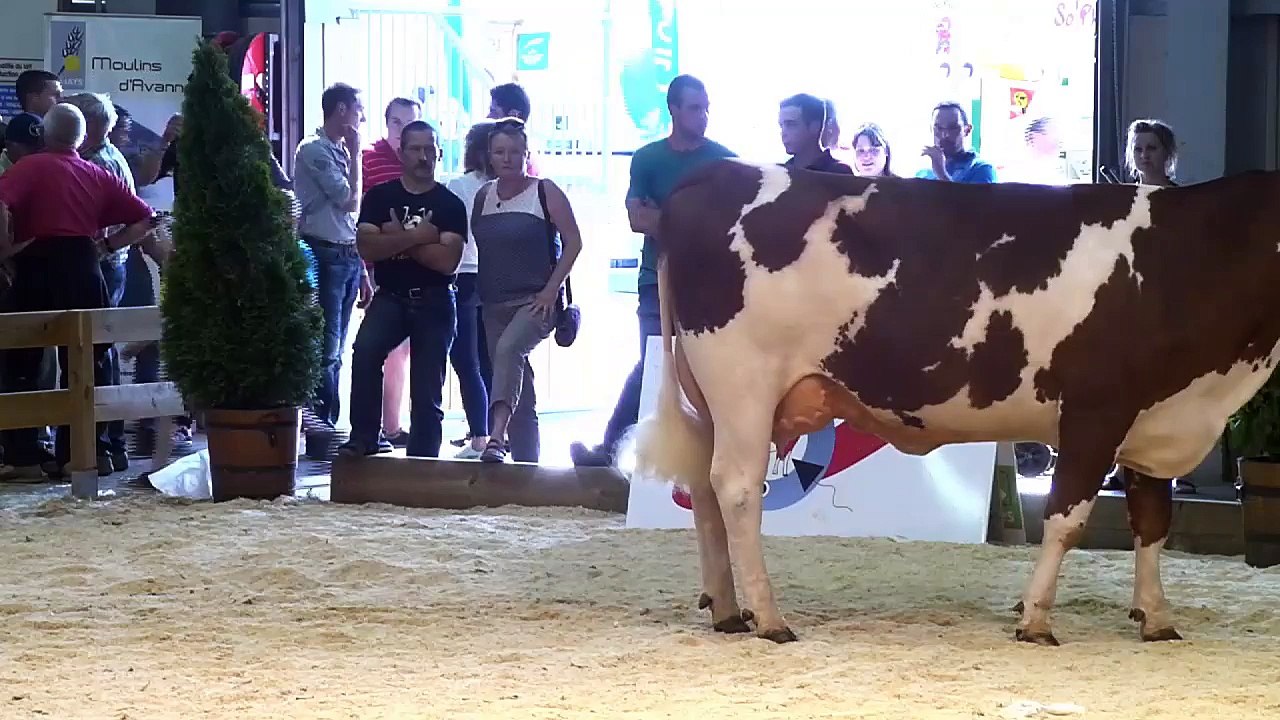 Montbéliard Prestige 2015 Championne Jeune