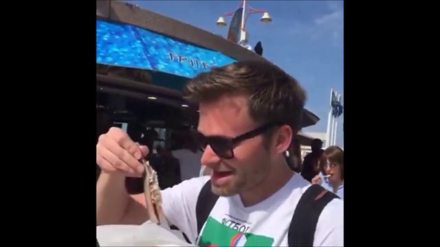 Il se fait voler son poisson par une mouette