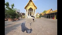 An African elephant appears at Wat That Thong
