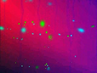 Abraham Hicks ~ Jesus