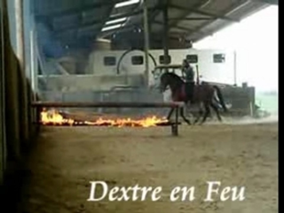 Nouveautés équestres !