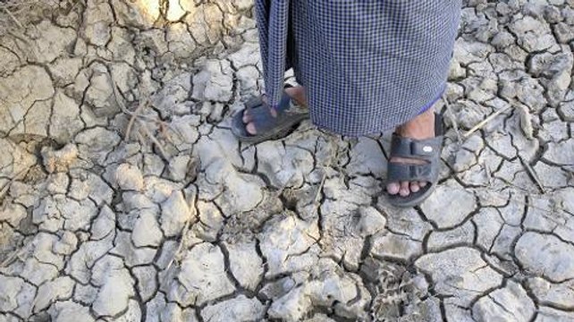 earthrise - Myanmar's Smart Farmers & Saving Mozambique's Forests