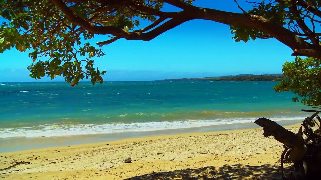 RELAXATION VIDEO #3 HD MAUI Best Beaches most relaxing Wave sounds Ocean videos relax travel 1080p