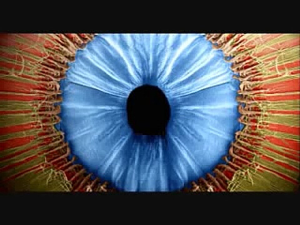 EL OJO HUMANO COMO FUNCIONA