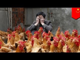 First known H7N9 patient from Shenzhen in critical condition