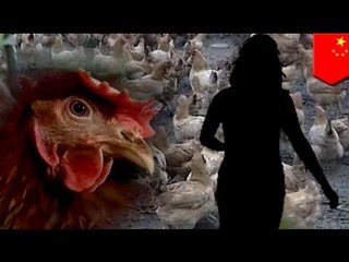 China reports first human case of H10N8 bird flu