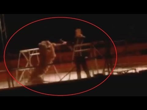 Tiger mauls tamer at Madrid circus: SHOCKING VIDEO