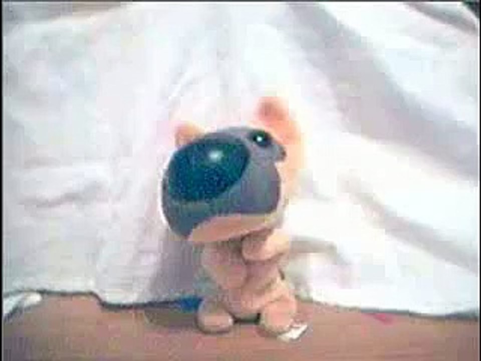Perrito Duranguense