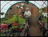 How To Build A Greenhouse From Recycled Materials