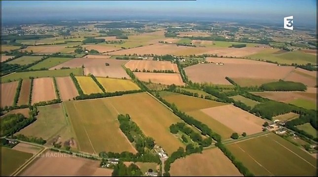 Des racines et des ailes 6-5-15 - Busard cendré Anjou