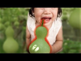 教諭がヒョウタンで異例のクビ