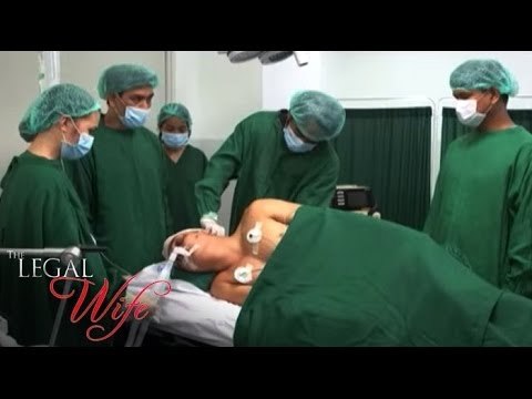 THE LEGAL WIFE: The Fight for Freedom