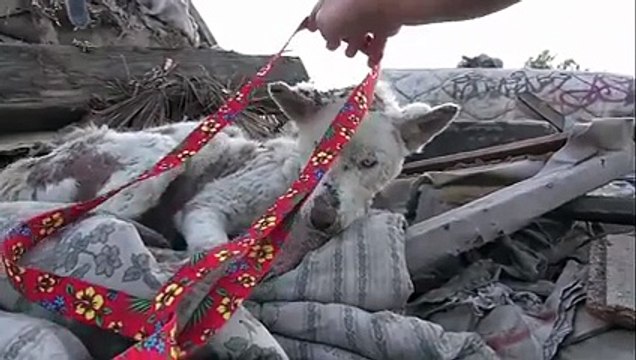 Dünyada Hala İyi İnsanlar Var! İyi İnsanlar İyi ki Varsınız..