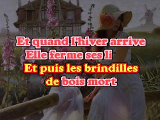 Karaoke - Francis Cabrel Elle Ecoute Pousser Les Fleurs