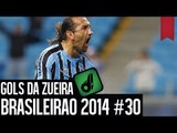 GOLS DA ZUEIRA - BRASILEIRÃO 2014 RODADA #30