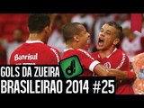 GOLS DA ZUEIRA - BRASILEIRÃO 2014 RODADA #25