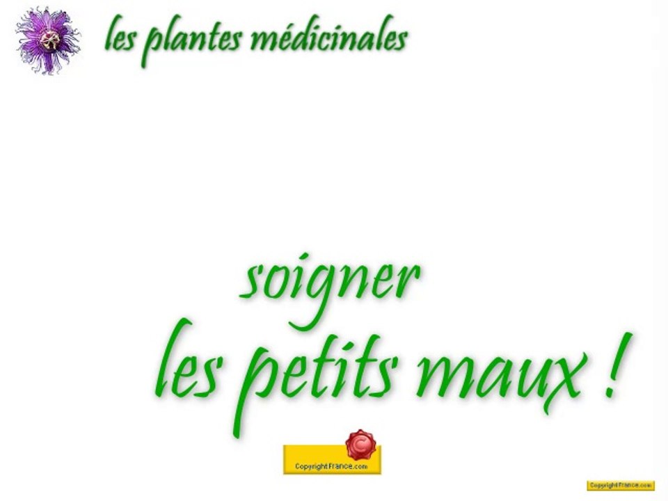 Soigner les petits maux, avec les plantes ❀
