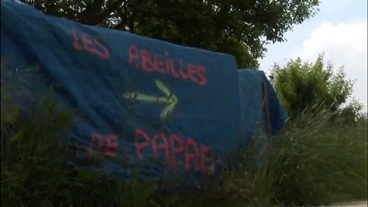 Quand les abeilles perdent le nord