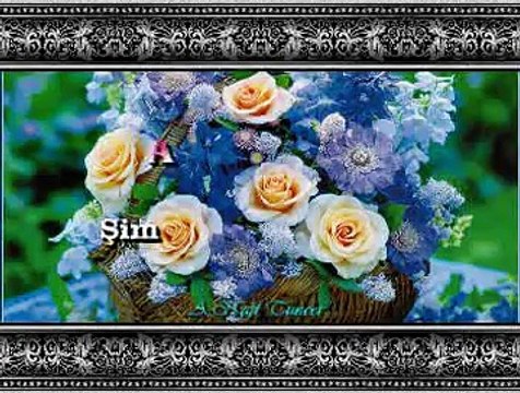 Alper DİLER *Şimdi Bahara Erdim Gonca Gonca Gül Derdim*