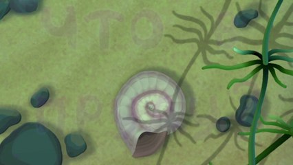 Лунтик и его друзья - Что в пруду?