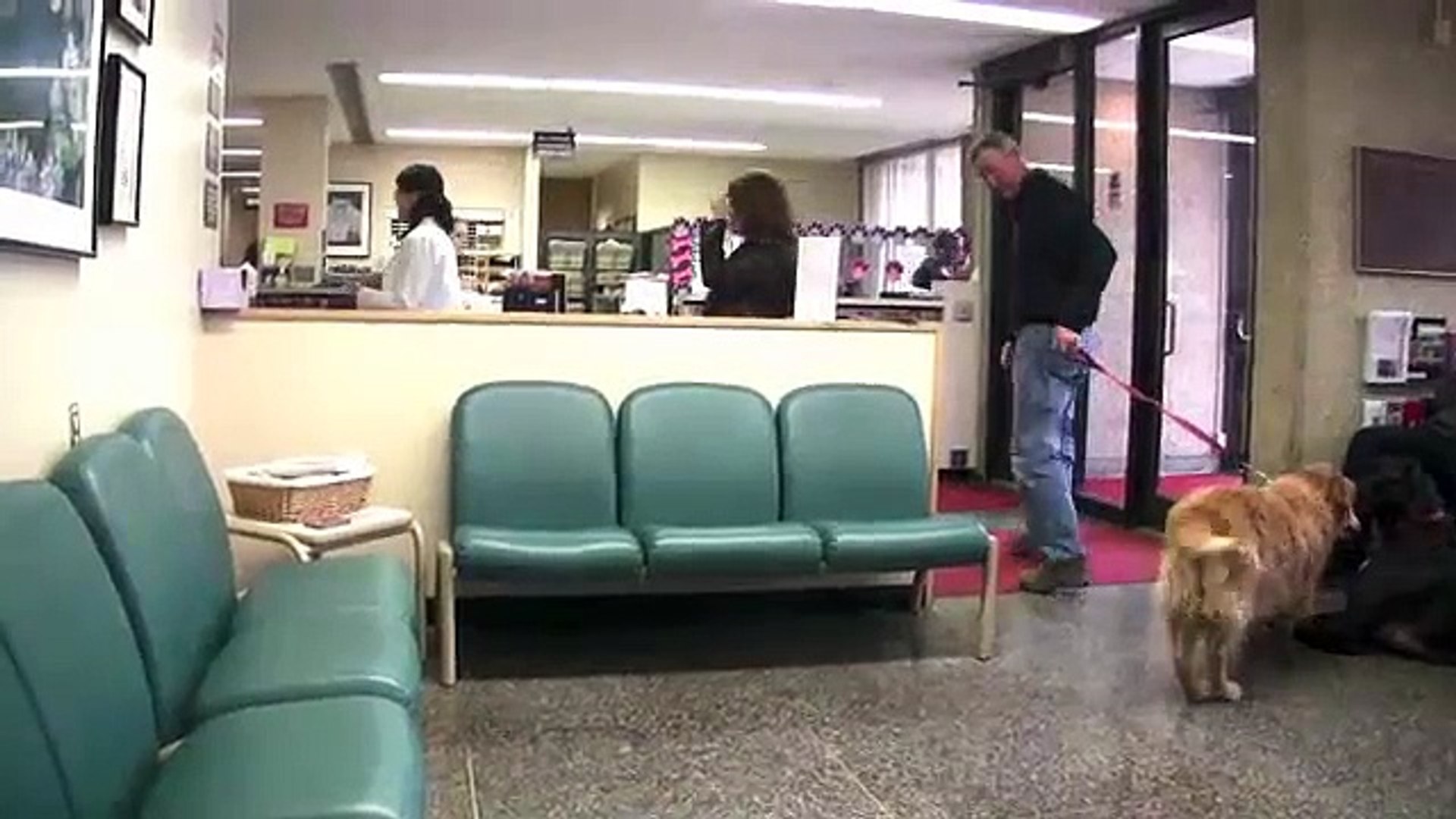 ⁣Welcome to the Illinois Veterinary Teaching Hospital