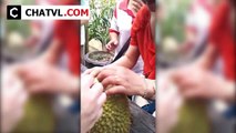 Công Cụ Bổ Sầu Riêng || Công Cụ Mở Sầu Riêng =))