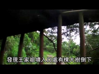 網友kuso政爭 王金平祖墳樹倒