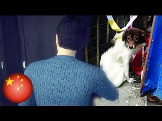 Chinese woman found dead in closet after going missing for a month