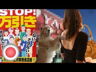 Tokyo area shoplifter caught, molested by man