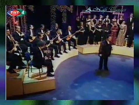 Çimen İLTER İPEKÇİ *Suda Balık Oynuyor*